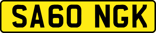 SA60NGK