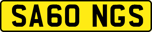 SA60NGS
