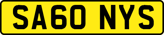 SA60NYS