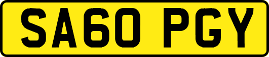 SA60PGY