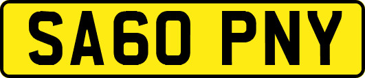 SA60PNY