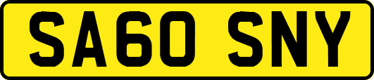 SA60SNY
