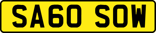 SA60SOW