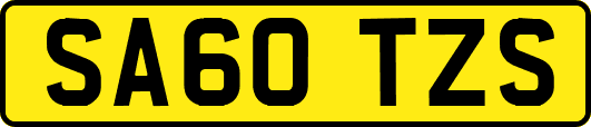 SA60TZS