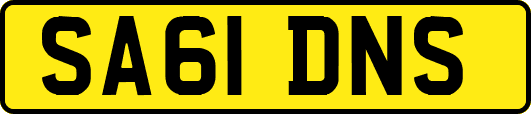 SA61DNS