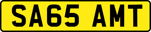 SA65AMT