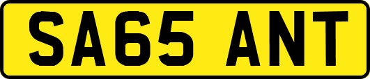 SA65ANT