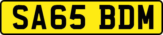 SA65BDM