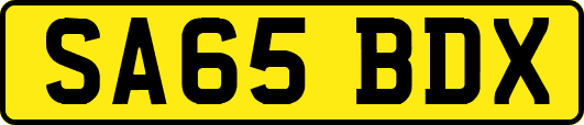 SA65BDX