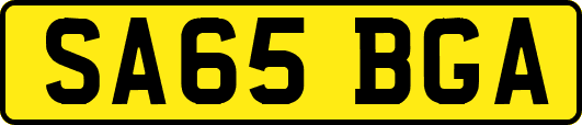 SA65BGA
