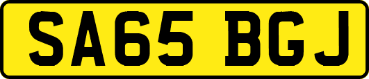 SA65BGJ
