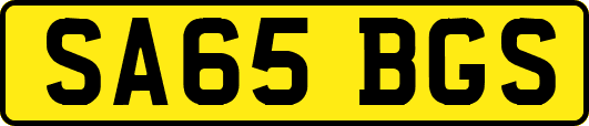 SA65BGS