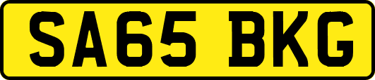 SA65BKG