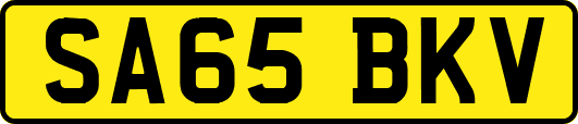 SA65BKV