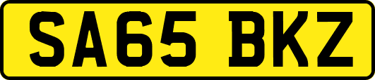 SA65BKZ
