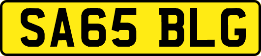 SA65BLG