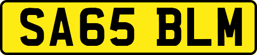 SA65BLM