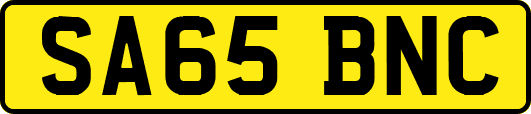 SA65BNC