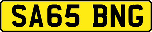 SA65BNG
