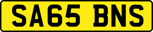 SA65BNS