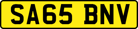 SA65BNV