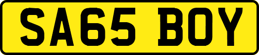 SA65BOY