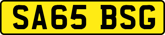 SA65BSG