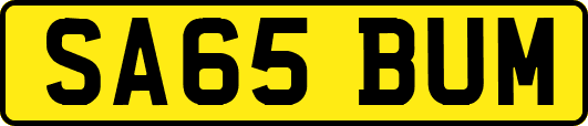 SA65BUM