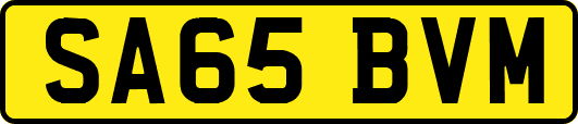 SA65BVM