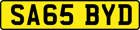 SA65BYD