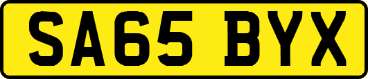 SA65BYX