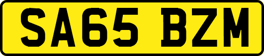 SA65BZM