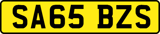 SA65BZS