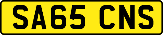 SA65CNS