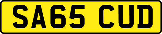 SA65CUD