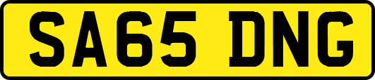 SA65DNG