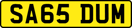 SA65DUM
