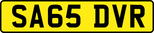 SA65DVR