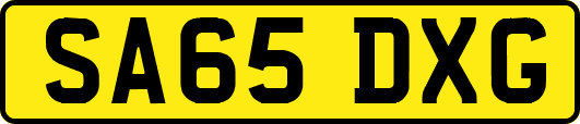 SA65DXG