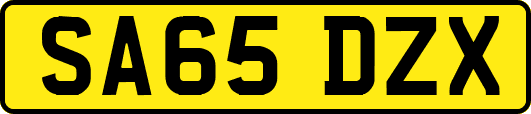 SA65DZX