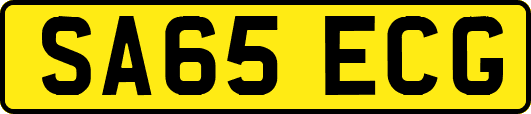 SA65ECG