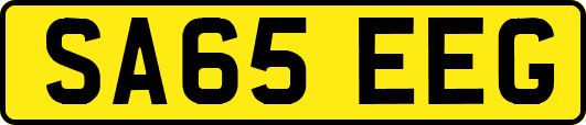 SA65EEG