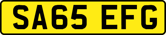 SA65EFG