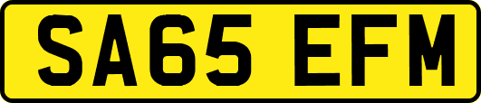 SA65EFM