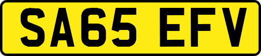 SA65EFV