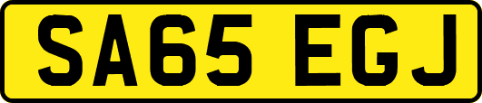 SA65EGJ
