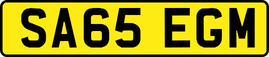 SA65EGM