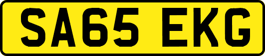SA65EKG