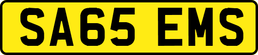 SA65EMS