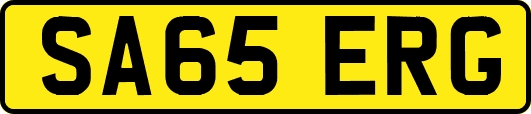 SA65ERG